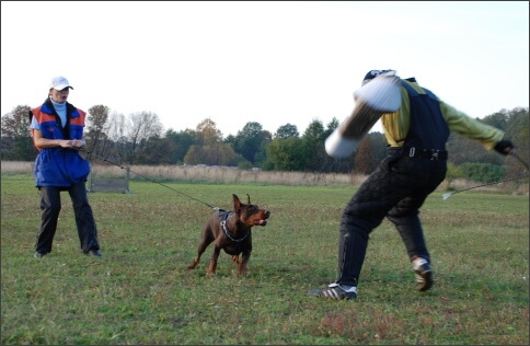 Training in Estonia 9/2007